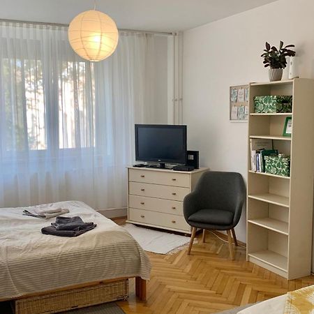 Mermaid House Apartman Apartman Szeged Kültér fotó